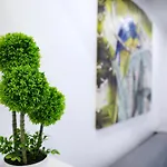 Dina House 아파트 나자레