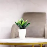 Dina House 아파트 *