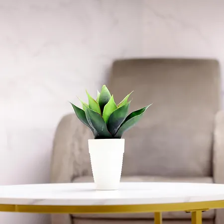 Dina House Apartamento *